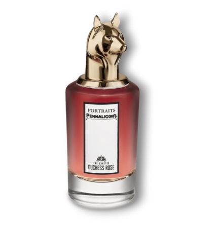 The Coveted Duchess Rose