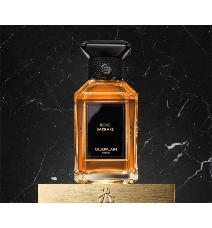 Rose Barbare Miniature